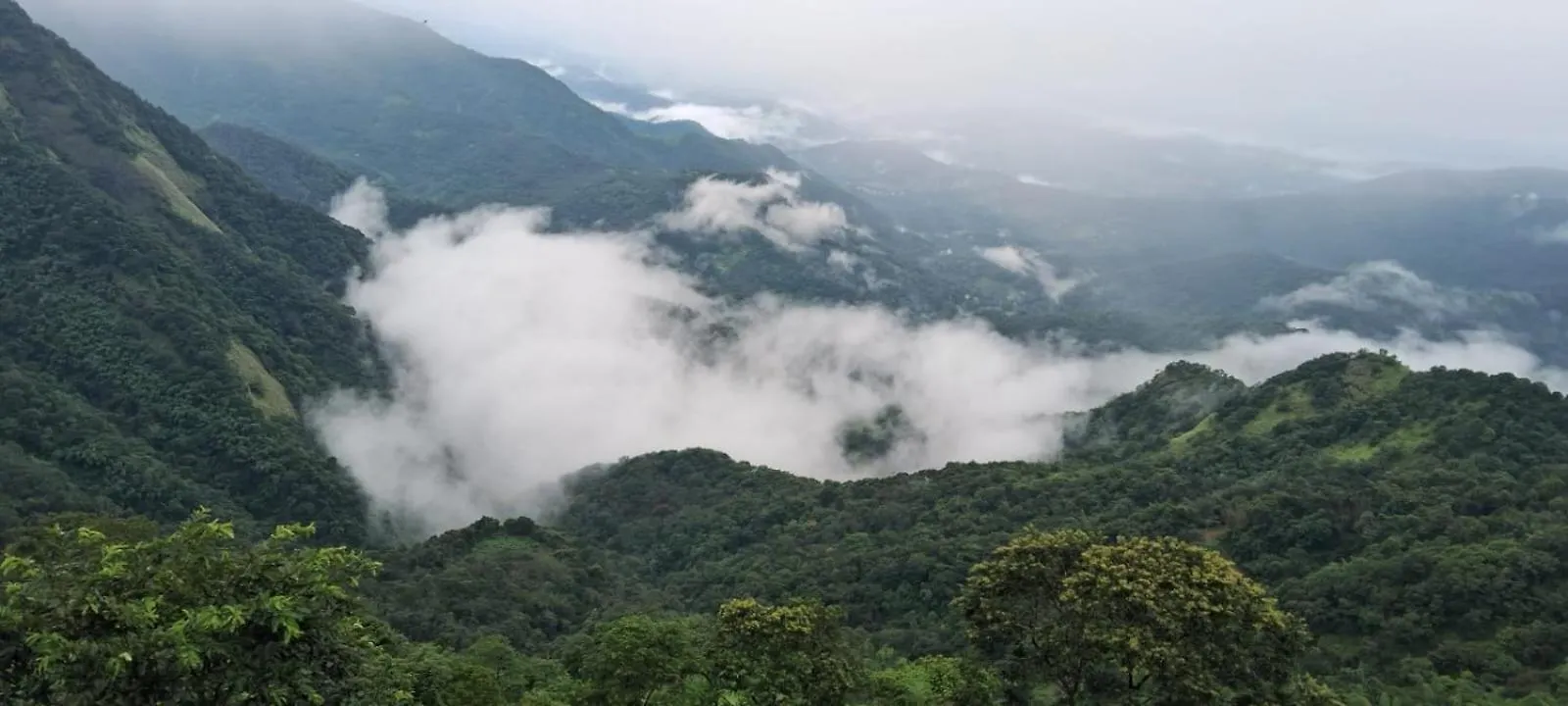 **** Hotel Reeem Misty Heavan Vagamon India